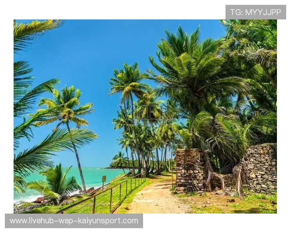 法属圭亚那华人体育文化交流活动丰富，法属圭亚那有多少华人