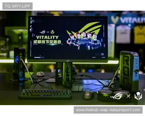 电竞选手的个人粉丝管理工具